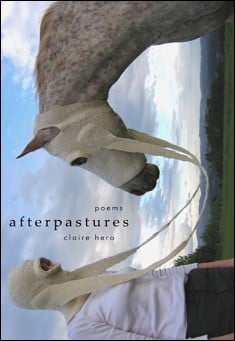 Book title: Afterpastures. Author: Claire Hero
