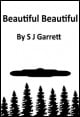 Book title: Beautiful Beautiful. Author: S J Garrett