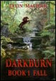 Book title: Darkburn Book 1: Fall. Author: Tayin Machrie