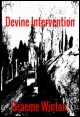 Book title: Devine Intervention. Author: Graeme Winton