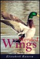 Book title: Mended Wings. Author: Elizabeth Kazeem 