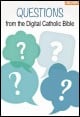 Book title: Questions From The Digital Catholic Bible. Author: Randall Lynn Emery