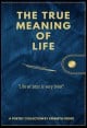 Book title: The True Meaning of Life . Author: Kenneth Oodee 