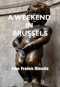 Book title: A Weekend in Brussels. Author: John Francis Kinsella