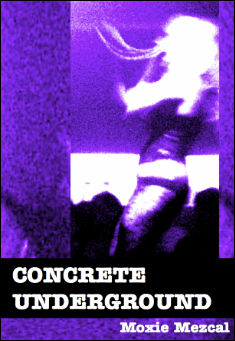 Book title: Concrete Underground. Author: Moxie Mezcal