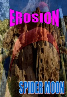 Book title: Erosion. Author: Spider Moon