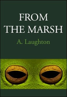 Book title: From The Marsh. Author: A J Laughton