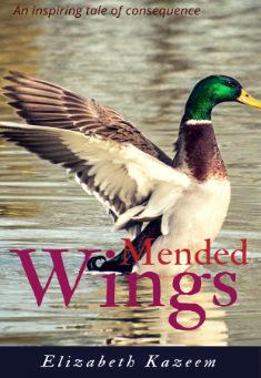 Book title: Mended Wings. Author: Elizabeth Kazeem 
