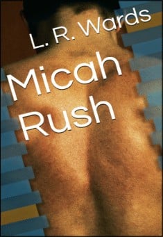 Book title: Micah Rush. Author: L. R. Wards