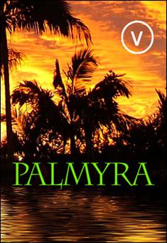 Book title: PALMYRA. Author: V the Writer